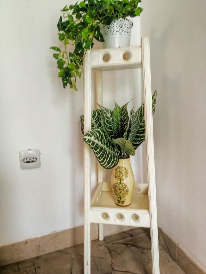Apartman Damir Сумартин Экстерьер фото